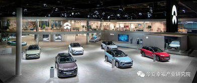 產(chǎn)業(yè)觀察丨從產(chǎn)品陣容看中國電動汽車企業(yè)后補貼時代的應(yīng)對策略